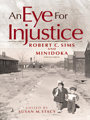 cover image of An Eye for Injustice